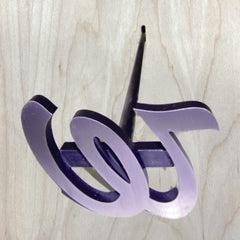 Stainless Steel Branding Irons